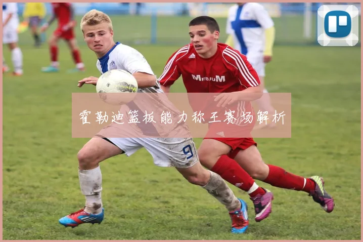 霍勒迪篮板能力称王赛场解析