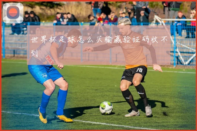 世界杯足球怎么买输赢验证码收不到