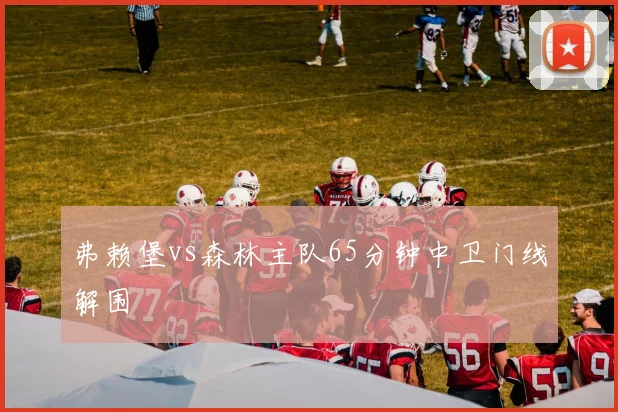 弗赖堡vs森林主队65分钟中卫门线解围