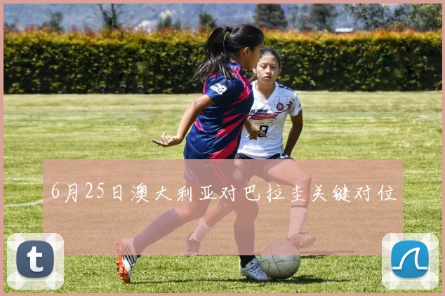 6月25日澳大利亚对巴拉圭关键对位