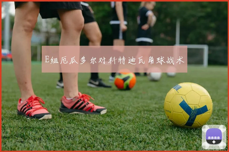 E组厄瓜多尔对科特迪瓦角球战术