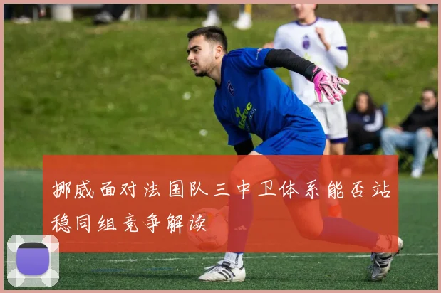 挪威面对法国队三中卫体系能否站稳同组竞争解读